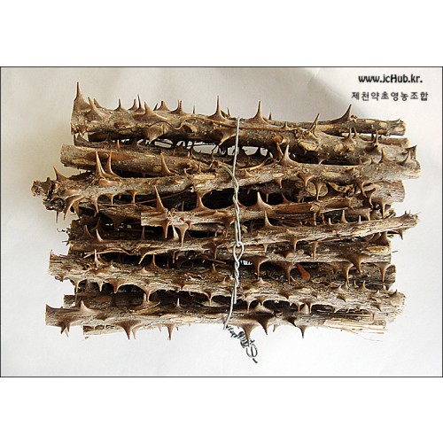 해동목 엄나무(단)