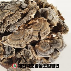 국산 운지버섯  500g