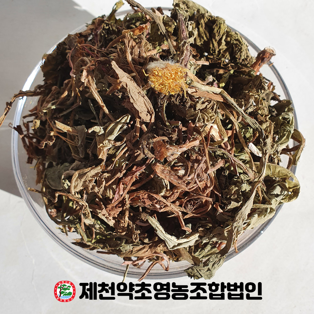 국산 포공영 민들레 500g